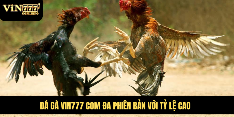 Đá gà VIN777 com đa phiên bản với tỷ lệ cao